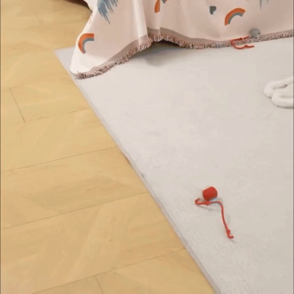 Whisker Chase Interactive Cat Ball