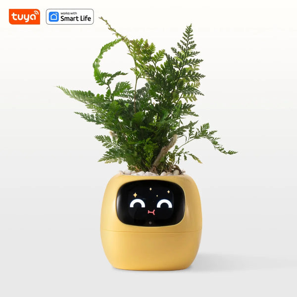 Product placeholder