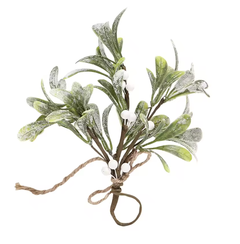Festive Mistletoe