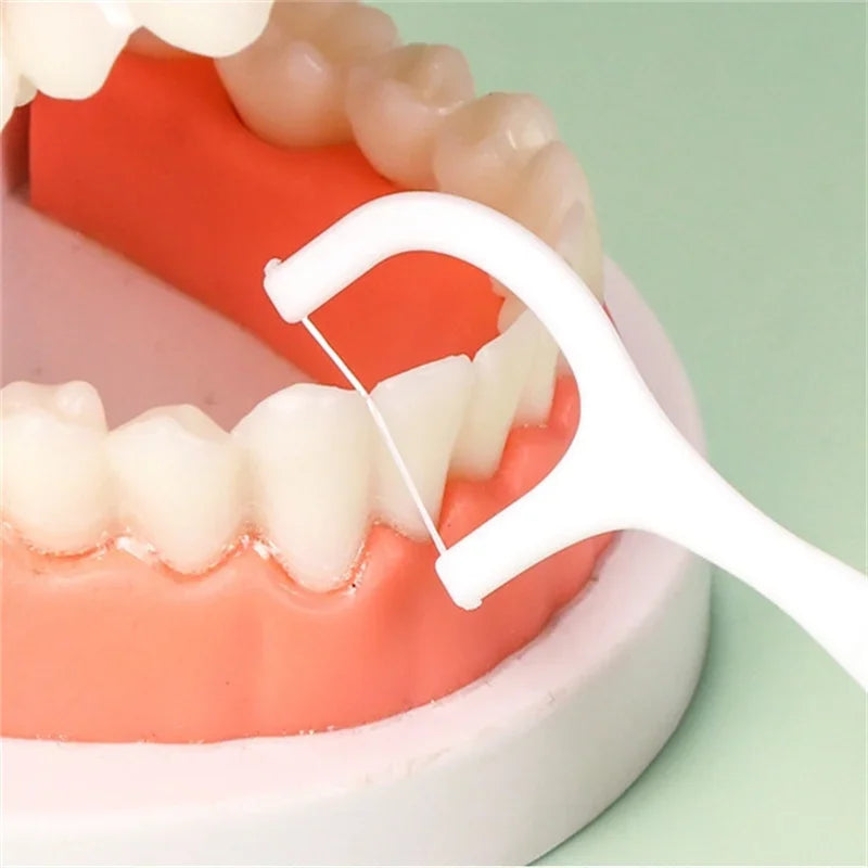 Pocket Clean Dental Floss Picks
