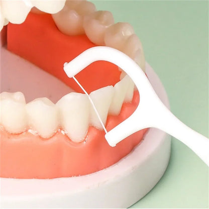 Pocket Clean Dental Floss Picks
