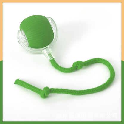 Whisker Chase Interactive Cat Ball