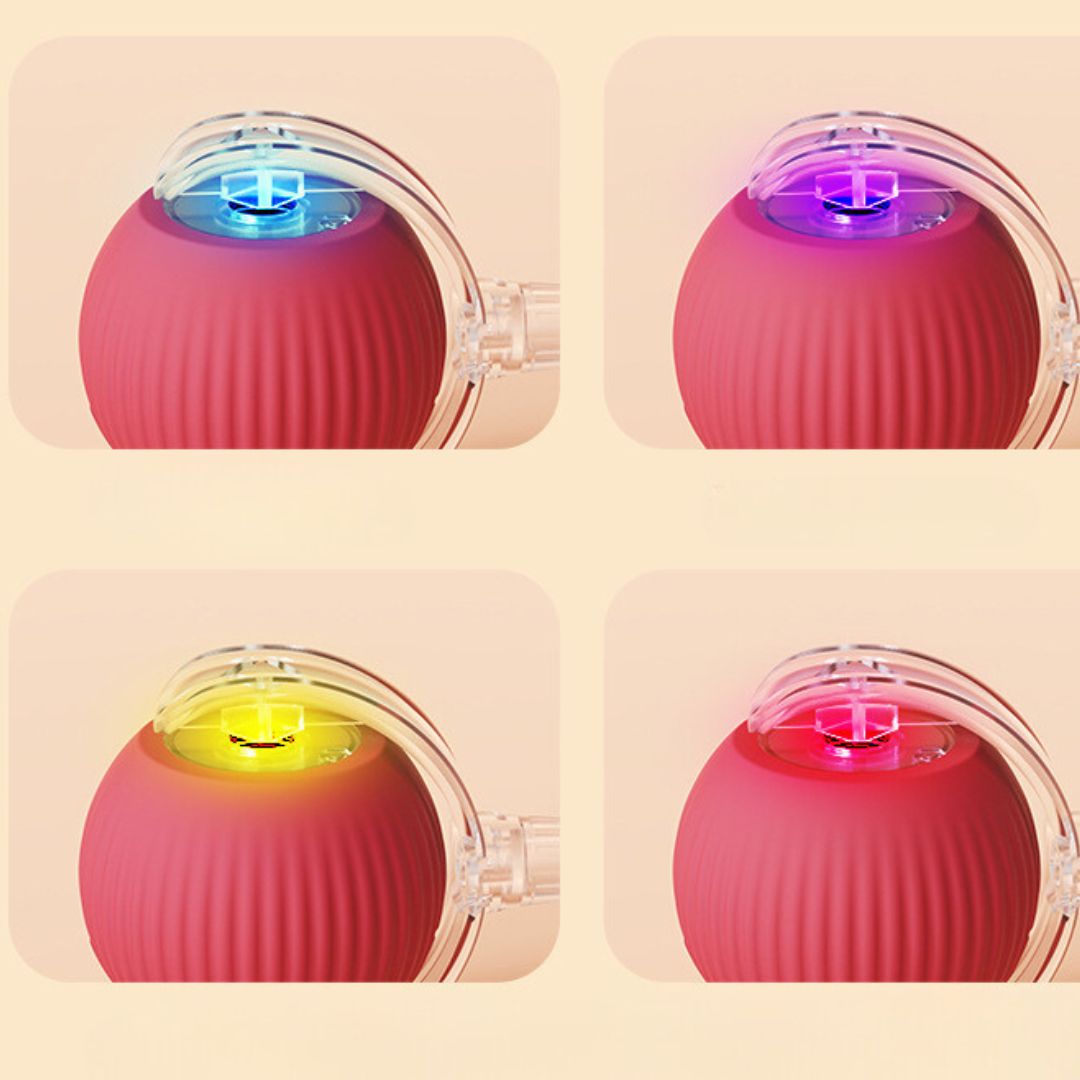 Whisker Chase Interactive Cat Ball